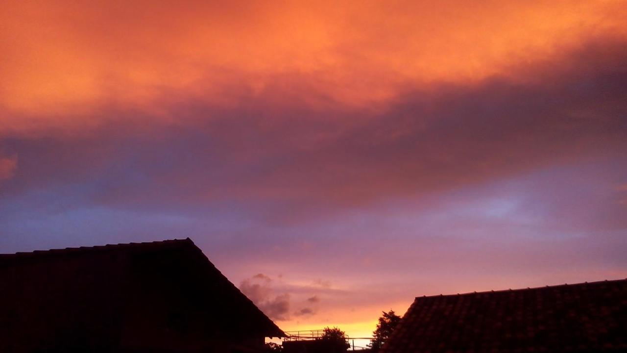 Hospedaria Oliveira เซาโตเมตัสเลตราส ภายนอก รูปภาพ